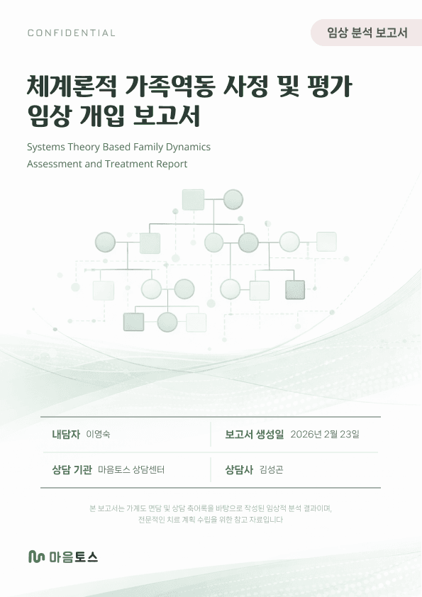 체계론적 가족역동 사정 및 평가 임상 개입 보고서 표지